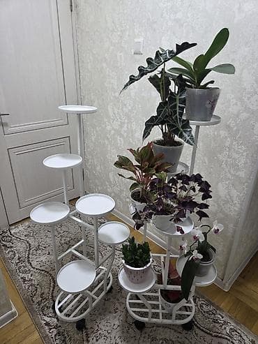 Полка, этажерка для цветов, Новый, Железо, Бесплатная доставка — 3