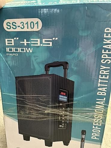 Портативная аккумуляторная акустическая система SSRJ SS-3101 Основные — 4