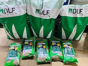 пионер кукуруза: Газон урук DLF Универсал 🌱 — 9