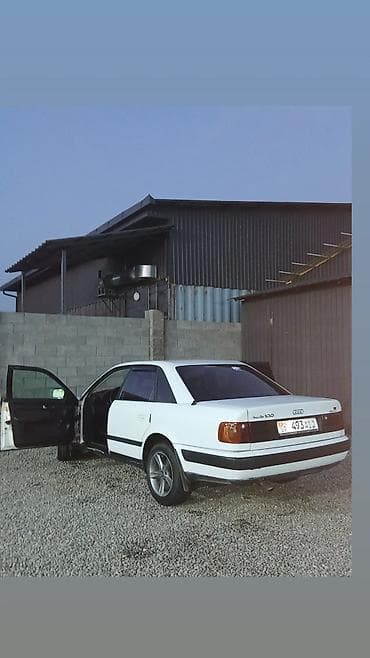 Audi 100: 1991 г., 2 л, Механика, Бензин, Седан — 6