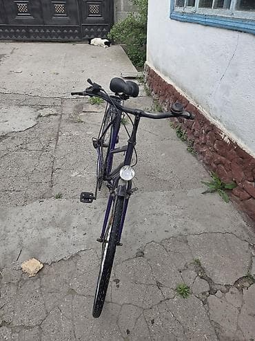 srv 2: Городской велосипед, Рама L (172 - 185 см) — 8