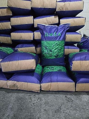 качели бишкек: Семена кормовых растений: Люцерна, Самовывоз — 2