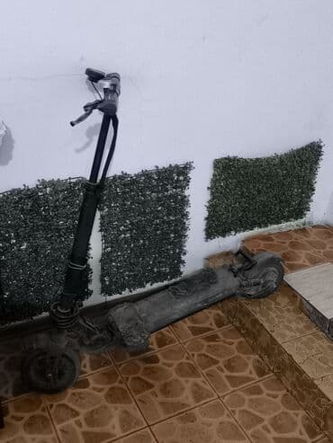 кухонн: Холодильник Avest, Винный шкаф — 2