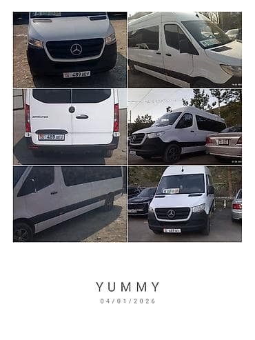 srv 3: Пункт назначения: Все направления, Количество мест: 18, Лицензия №: 00В004669 — 4