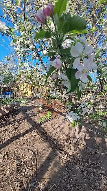 бишкек восток 5: 📍📍📍Продаётся участок + дом!!! Район очень тихий, дружный. Общая — 7