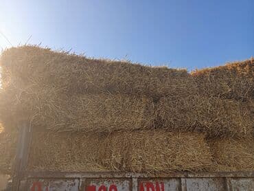 дом кролика: Ячменная солома тюки большие с доставкой - Тюки плотной прессовки — 3