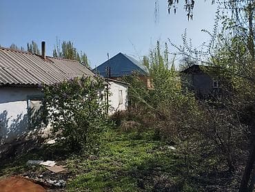 сосновке: 13 соток, Для строительства, Красная книга — 3