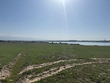 дом земельный: 260 соток — 2