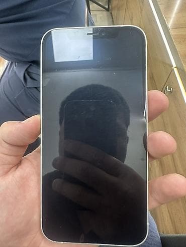 Смартфон Apple iPhone (линейка с плоскими гранями и двойной камерой)
