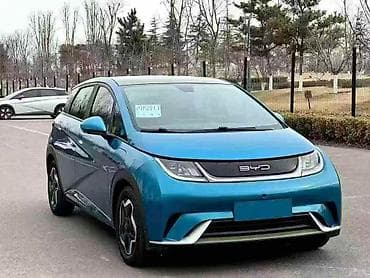 BYD: BYD Dolphin: 2022 г., 0.1 - engine capacity л, Автомат, Электромобиль, Хетчбек — 3