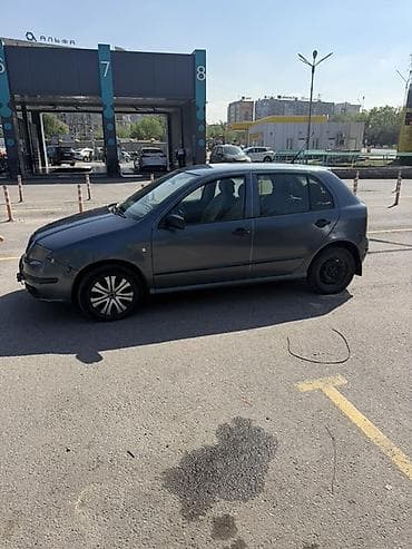 06 шоха: Skoda Fabia: 2006 г., 1.2 л, Ручные, Бензин, Хэтчбэк — 3