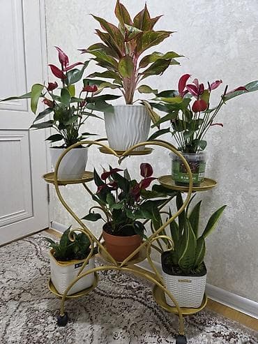 Полка, этажерка для цветов, Новый, Железо, Самовывоз