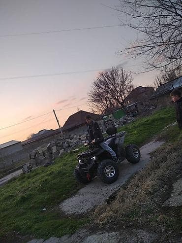 купить квадроцикл: Квадроцикл Бензин, 220 куб. см, Взрослый — 8