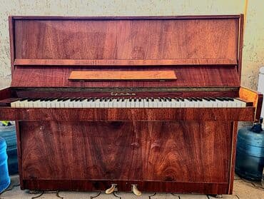 купить пианино детское: В хорошем состоянии. Нужна настройка, и пару клавиш зависает. Торг — 1