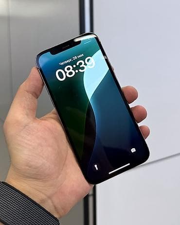 apple max: IPhone 12 Pro, Б/у, 128 ГБ, Графит, Защитное стекло, Чехол, В рассрочку, 76 % — 1
