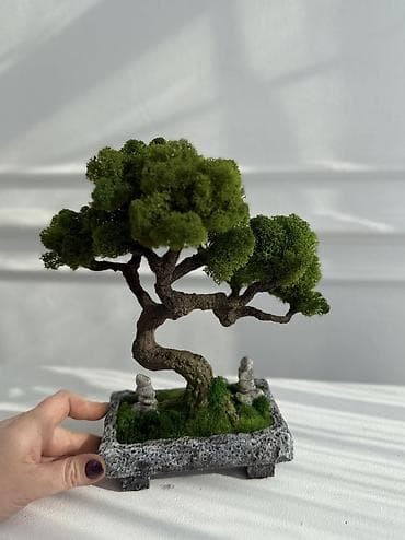 света: Декоративное дерево бонсай, выполненное из стабилизированного мха — 1