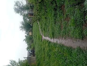 сдаю место в салоне: Дом с участком Одноэтажный частный дом с двускатной крышей и двумя — 5