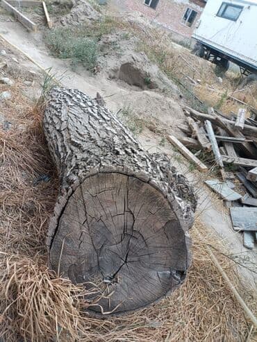 стеллаж для фруктов: Спил дерева, предназначенный для использования в качестве материала — 1