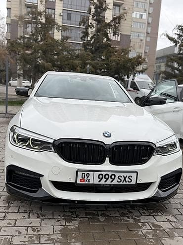 BMW 530: 2019 г., 2 л, Автомат, Бензин, Седан