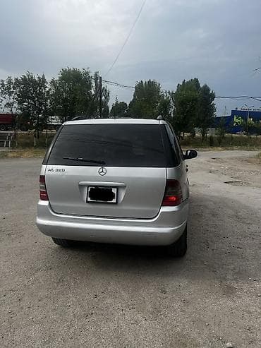 mini v: Mercedes-Benz ML-Class: 2001 г., 3.2 л, Автомат, Бензин, Кроссовер — 3