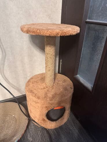 где купить домик для кошки: Продаю кошачий домик, наши кошки не пользуются им, цена 1500 — 1