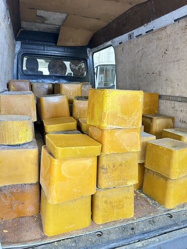 купить кошку бишкек: Подаю воск пчелиный цена 550-600 сом Оптом скидка будет имеется 5 тон — 4