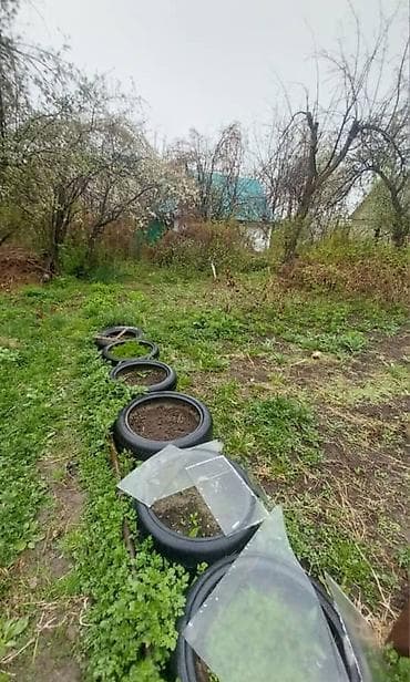 куплю участок кут: ‼️ СРОЧНО ПРОДАЁТСЯ ДАЧА В с. АРАШАН! ‼️ 📍 с. Арашан, СТ «Электрик» — 3