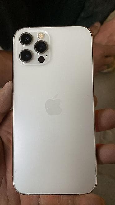 redmi note 3: IPhone 12 Pro, Б/у, 256 ГБ, Серебристый, Чехол, 91 % — 5