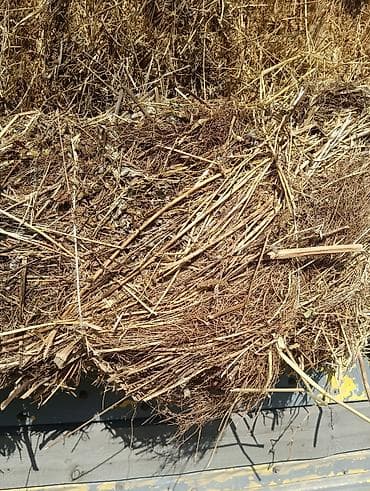 Солома в тюках - Тип: злаковая солома, спрессованная в прямоугольные