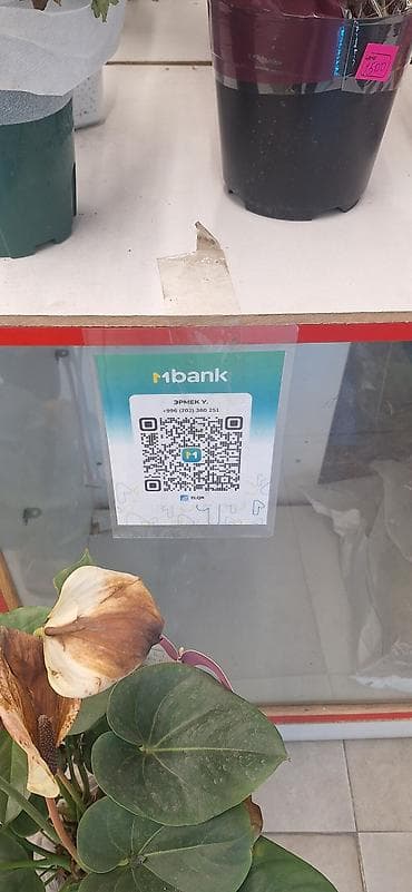 лабовой камри: Toyota Camry: 2002 г., 2.4 л, Автомат, Бензин, Седан — 2