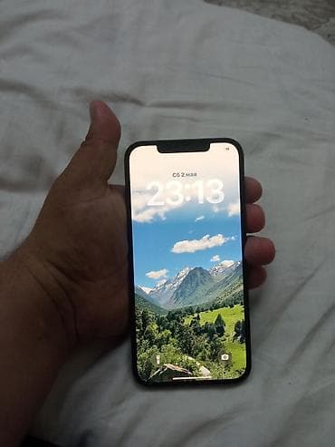 iphone xm: IPhone 12 Pro Max, Синий — 4
