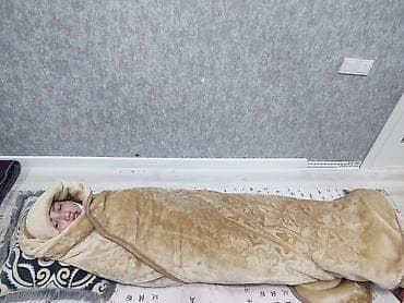 Массаж: Массаж — 7