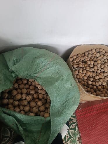 корень ореха: Грецкий орех в скорлупе в наличии около 40 50 кг - Цельный — 3