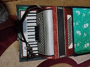 гитаа: Аккордеон (пятиклапанный регистр, классическая компоновка) - — 8