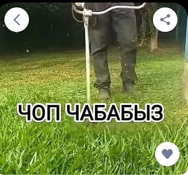 прием грибов: Уборка территории, Уборка двора и сада — 1