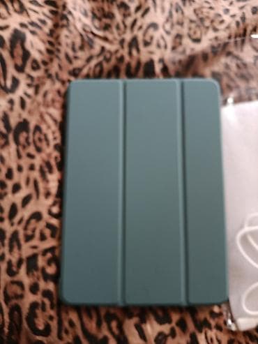 телевизор 100: Электронная книга, Apple, 10" - 11", Wi-Fi, цвет - Зеленый — 1