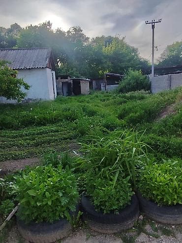 каретный двор: 10 соток, Для сельского хозяйства — 8