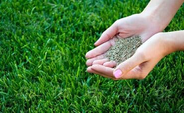 подставка для украшении: МИНИ ГАЗОН🌱- травосмесьмесь газона не требующая частого скашивания! — 5