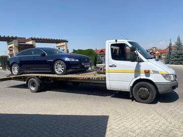 Детские сады, няни: С лебедкой, С прямой платформой, С ломаной платформой — 4