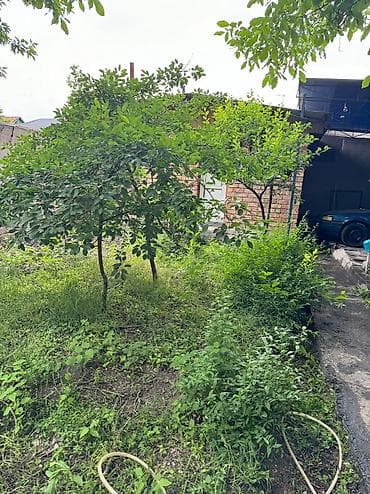 hostel osh: 110 м², 4 комнаты, Евроремонт, Забор, огорожен, Утепленный — 5