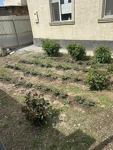 участок в лебединовке: 120 м², 3 комнаты, Утепленный, Бронированные двери, Евроремонт — 4