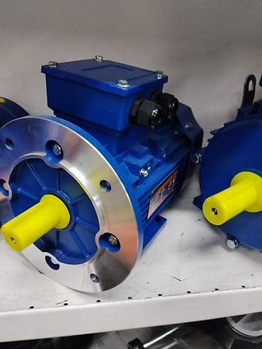 Электродвигатель асинхронный трехфазный, фланцевое исполнение