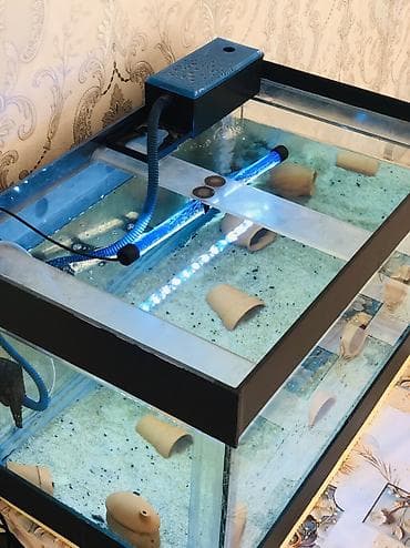 сколько стоят клетки для хомяков: Аквариум полный комплект Комплект состоит из Аквариума на 102литра — 4