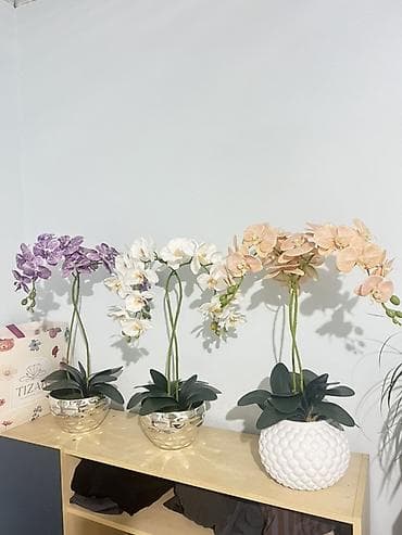 Искусственные орхидеи в декоративных кашпо. - Три варианта оттенков