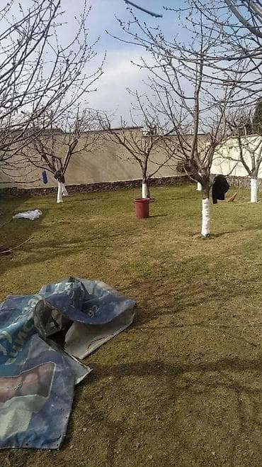 прием грибов: Уборка территории, Уборка двора и сада — 5