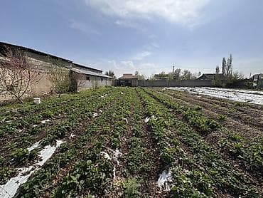 мини поля: 7 соток, Для строительства, Красная книга, Тех паспорт — 5