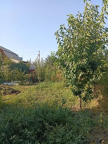 участки дачные: 5 соток, Для строительства, Договор купли-продажи, Красная книга — 8