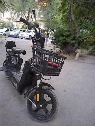 Зарятнис каска бар дыгы кошуп бере састаяня зынк алганыма 3 ай болду — 3