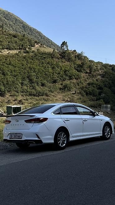 Hyundai Sonata: 2018 г., 2 л, Автомат, Газ, Седан