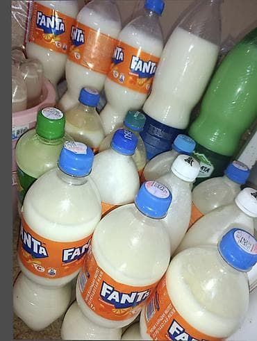 оптом фрукты овощи: 🥛 Уй кымызы Табигый уйдун сүтүнөн жасалган даамдуу уй кымызы. Жумшак — 2